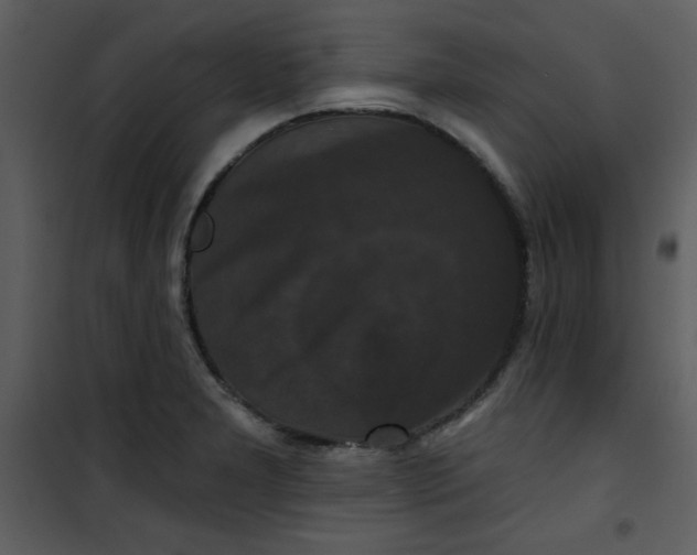 X0000101141277200807181246