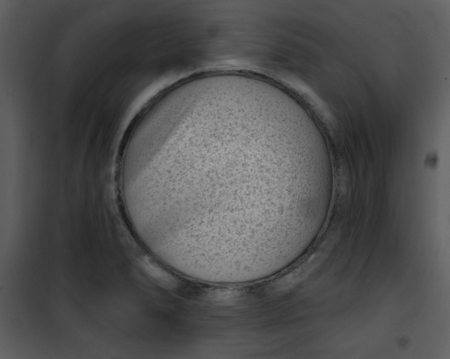 X0000101141278200807181246