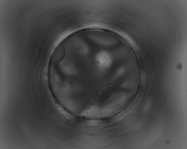 X0000101141279200807181246