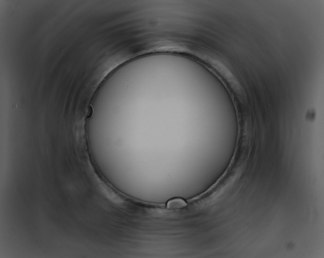 X0000101141281200807181246