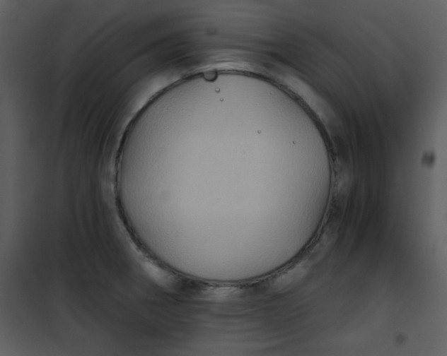 X0000101141282200807181246