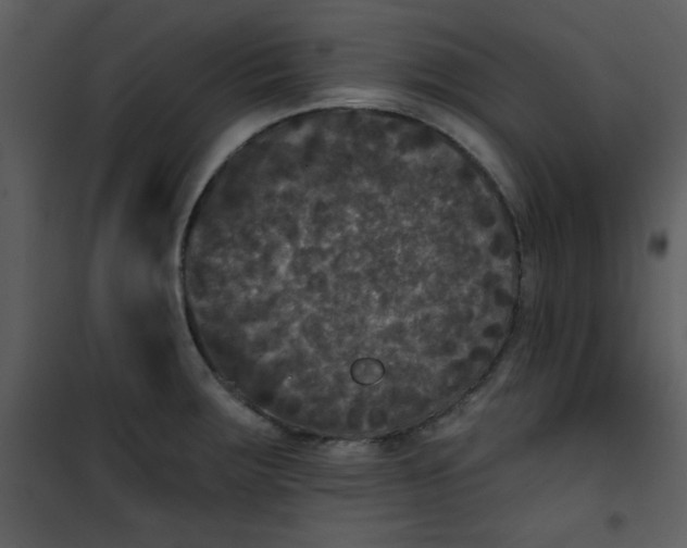 X0000101141283200807181246