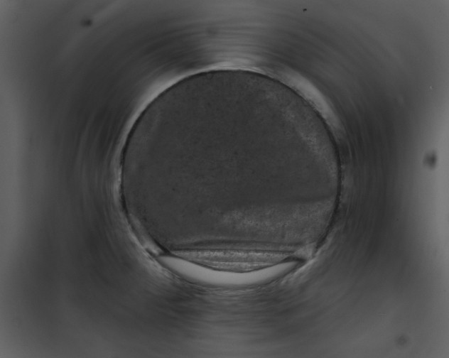 X0000101141284200807181246