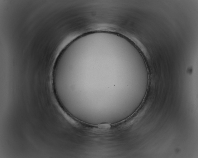 X0000101141285200807181246