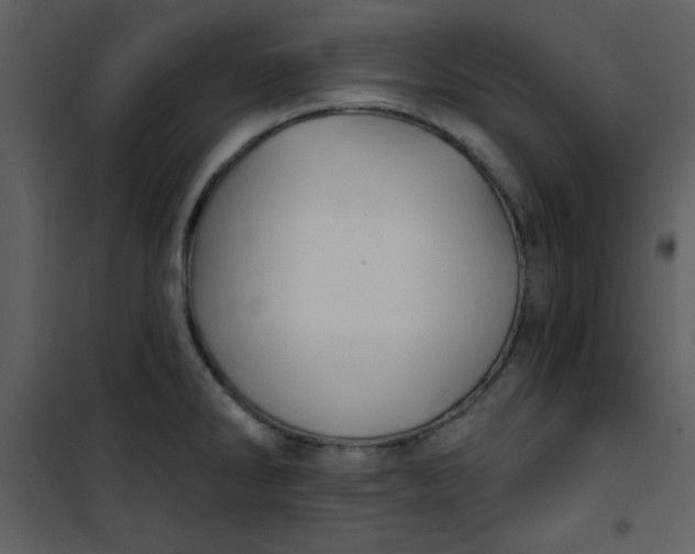 X0000101141286200807181246