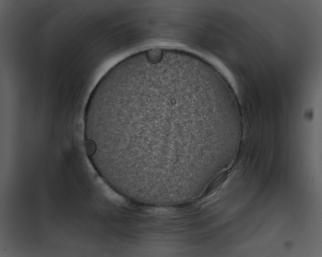 X0000101141287200807181246