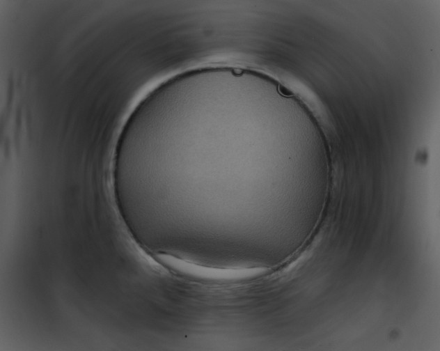 X0000101141288200807181246