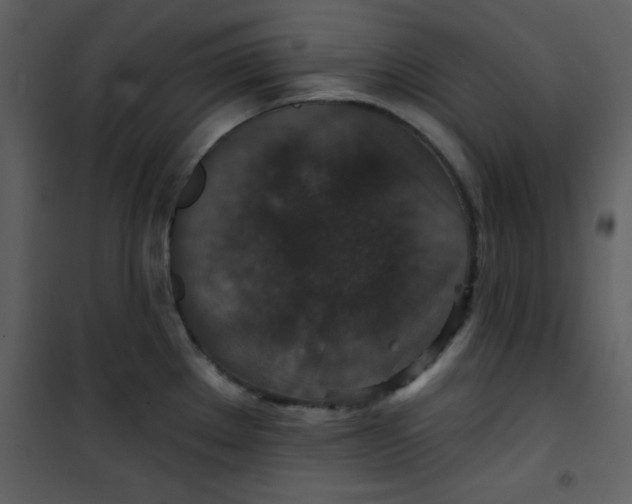 X0000101141289200807181246