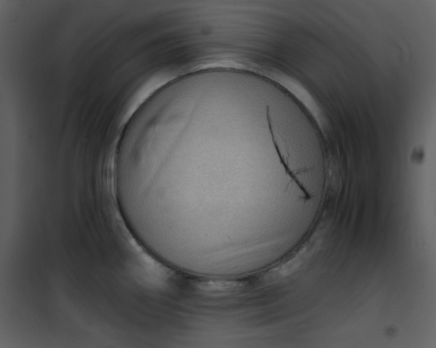 X0000101141290200807181246