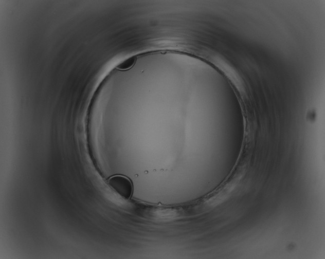 X0000101141291200807181246