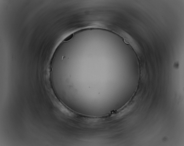 X0000101141292200807181246