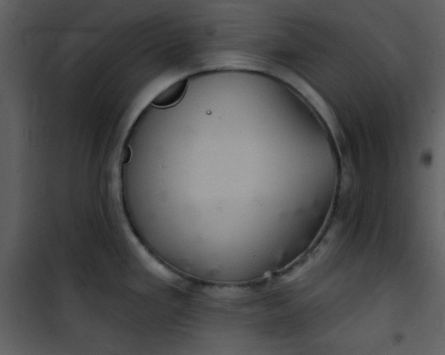 X0000101141293200807181246