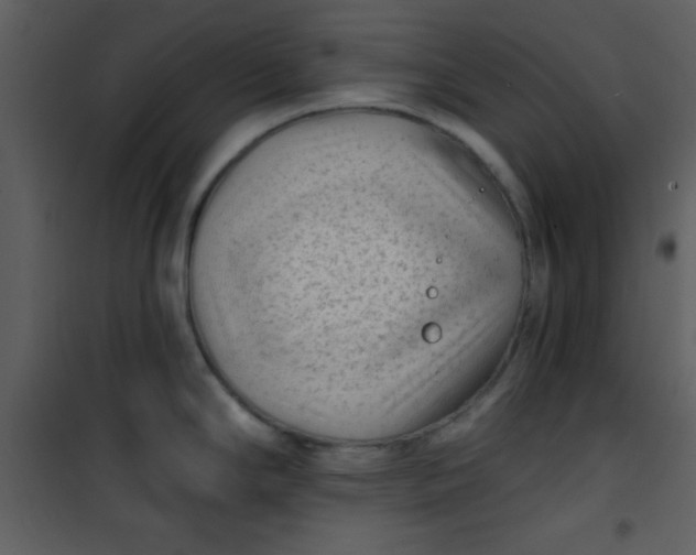 X0000101141294200807181246