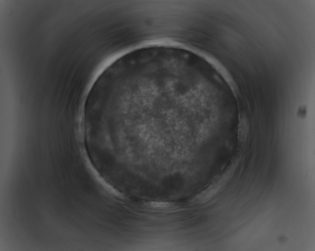 X0000101141295200807181246