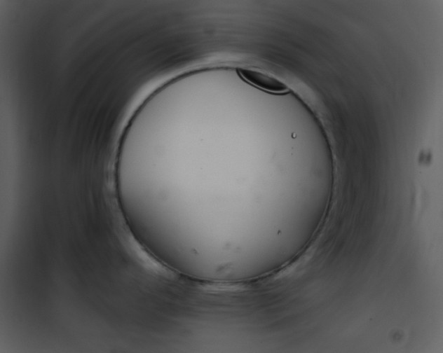 X0000101141296200807181246