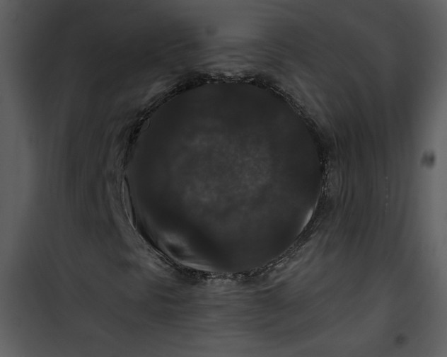 X0000101141297200807181245