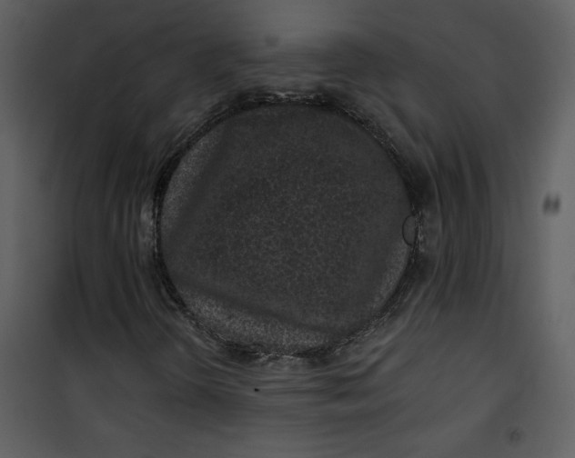 X0000101141298200807181245