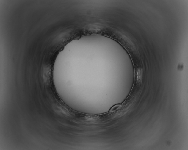 X0000101141299200807181245