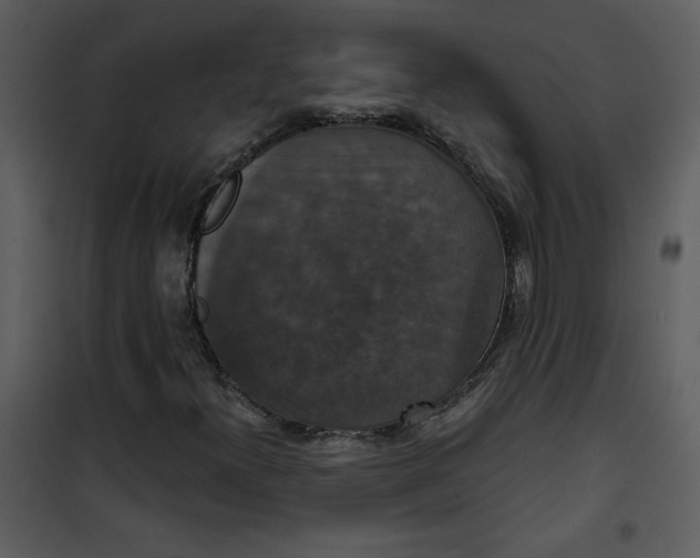 X0000101141300200807181245