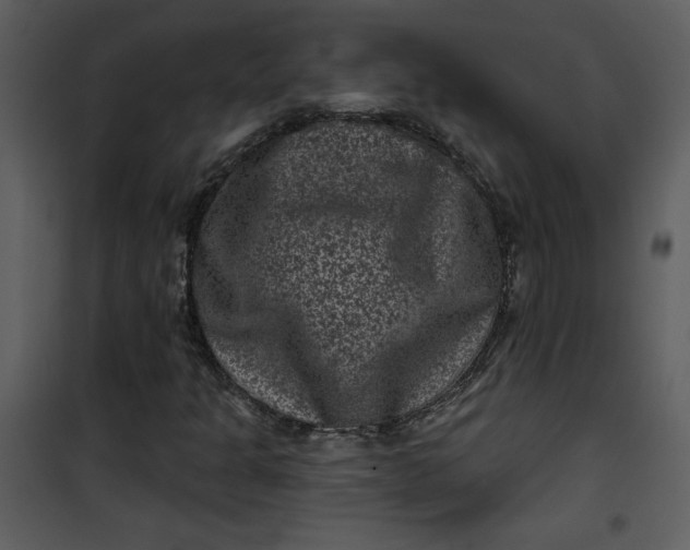 X0000101141301200807181245