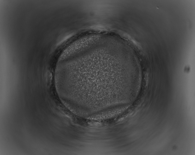 X0000101141302200807181245