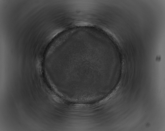 X0000101141305200807181245