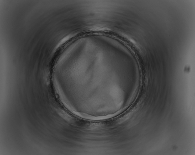 X0000101141306200807181245