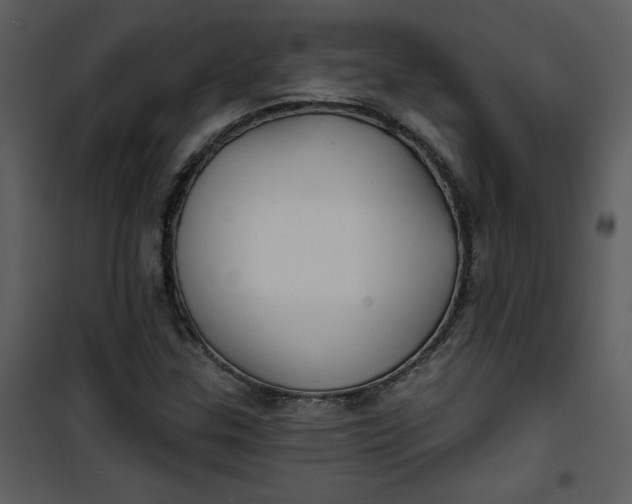 X0000101141307200807181245