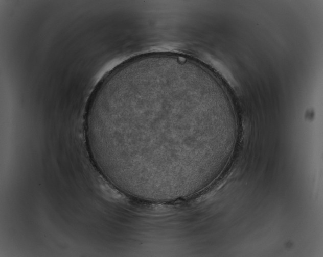 X0000101141308200807181245