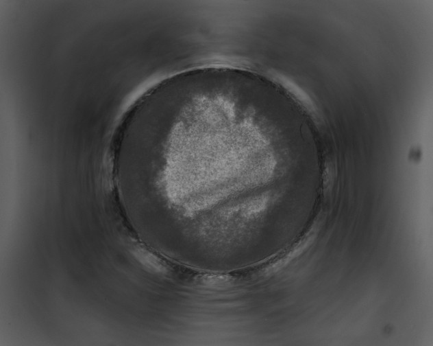 X0000101141310200807181246