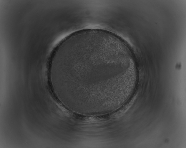 X0000101141311200807181246