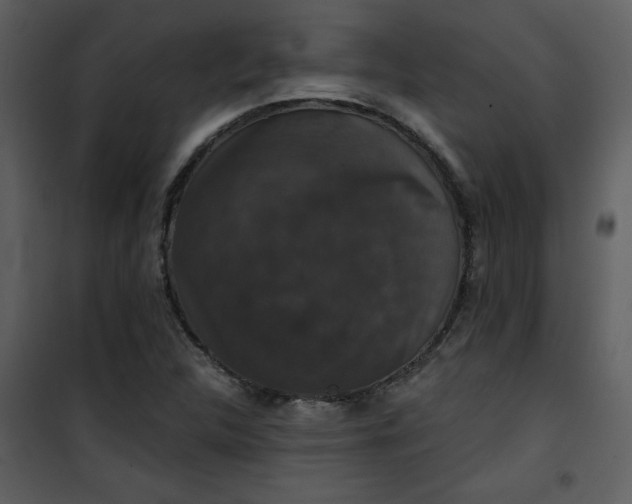 X0000101141312200807181246