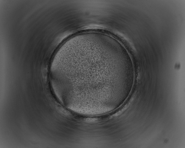 X0000101141313200807181246