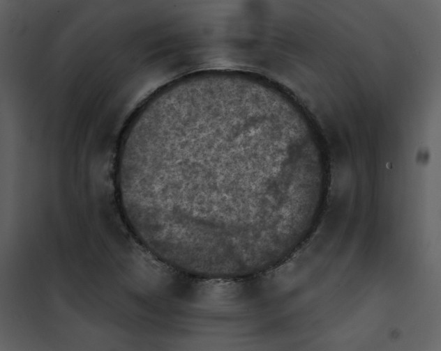 X0000101141314200807181246