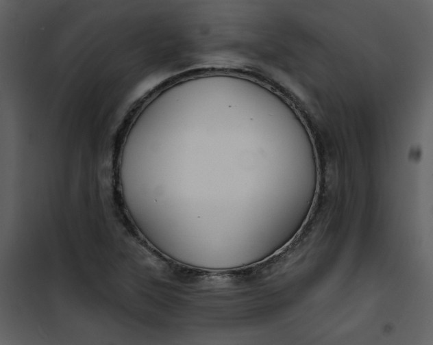 X0000101141315200807181246