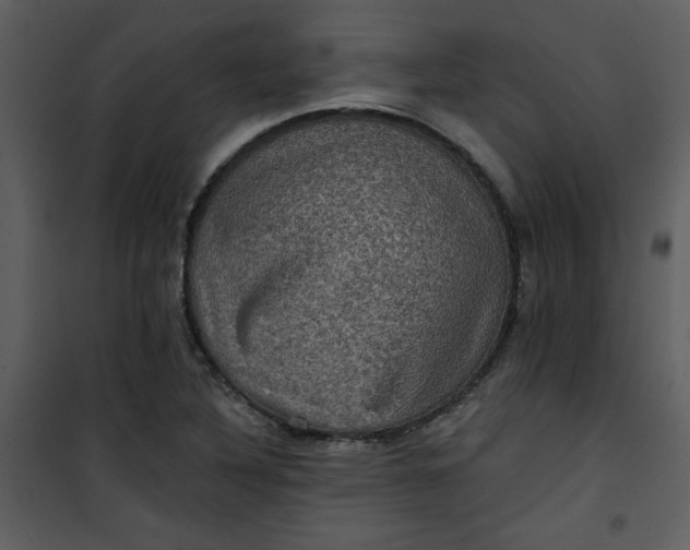 X0000101141316200807181246