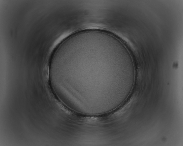 X0000101141317200807181246