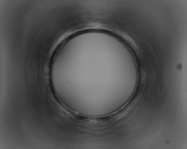 X0000101141318200807181246