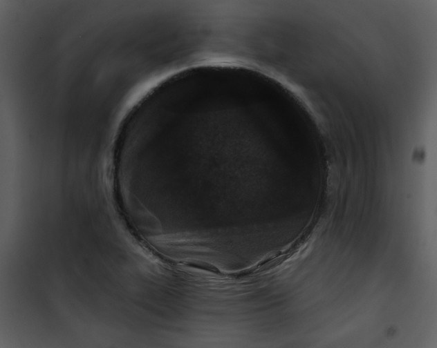 X0000101141319200807181246