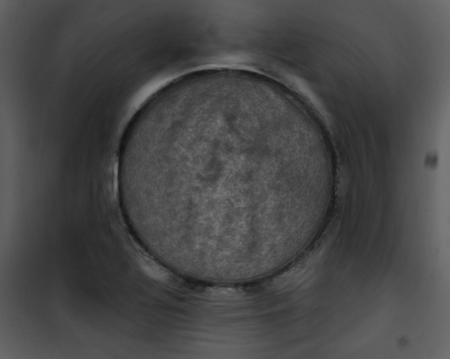 X0000101141320200807181246