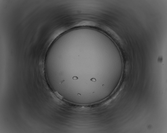 X0000101141321200807181246