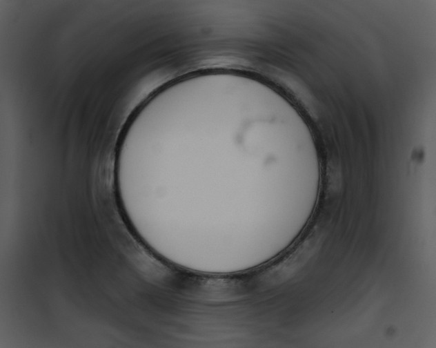 X0000101141322200807181246