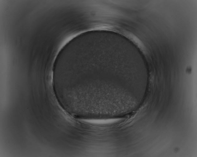 X0000101141324200807181246