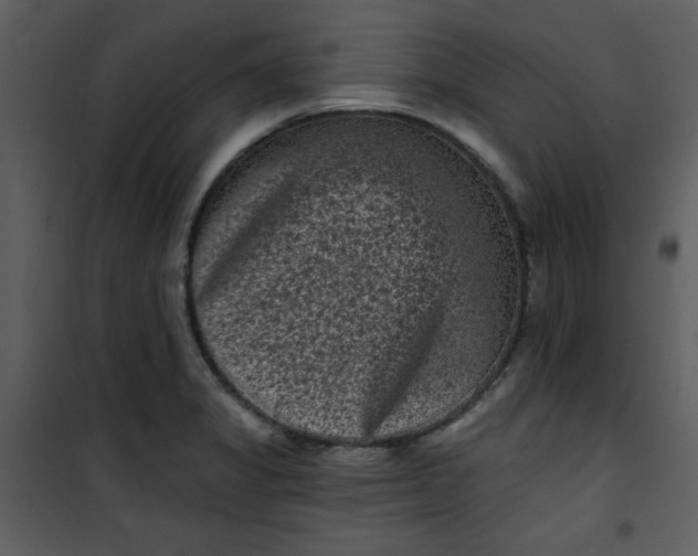 X0000101141325200807181246