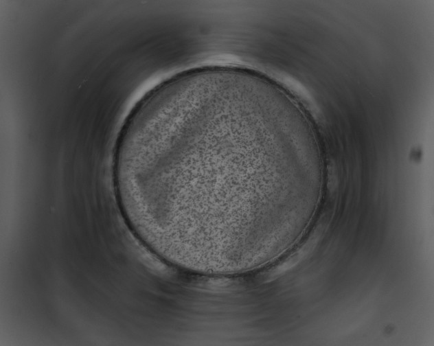 X0000101141326200807181246