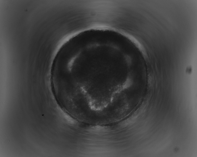 X0000101141327200807181246