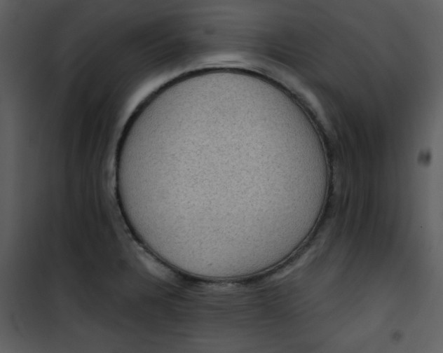 X0000101141328200807181246