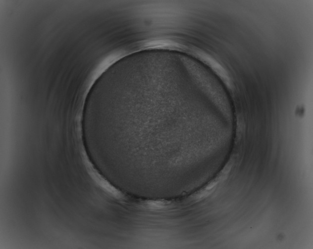 X0000101141330200807181246