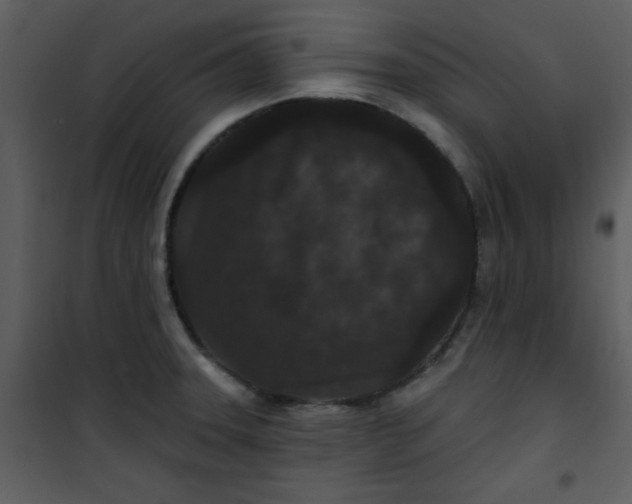 X0000101141331200807181246