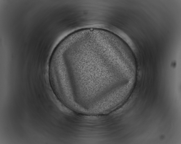 X0000101141332200807181246